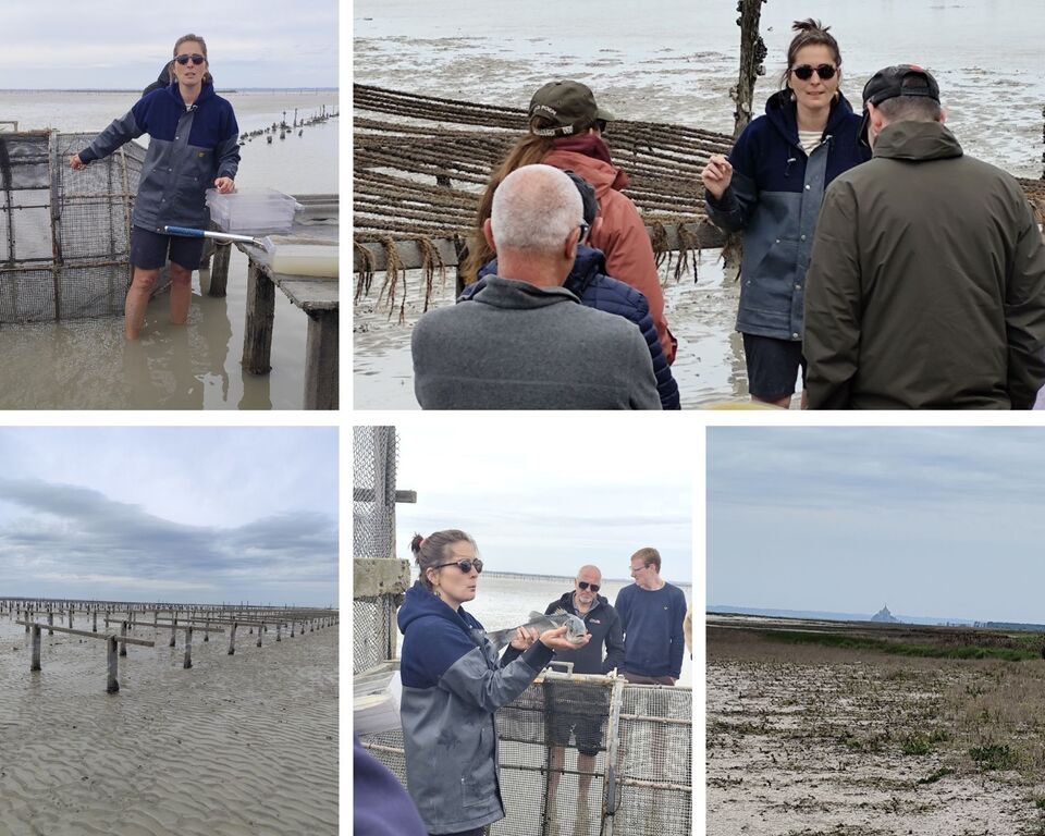 Découverte du train marin pour notre stagiaire en droit de l'environnement